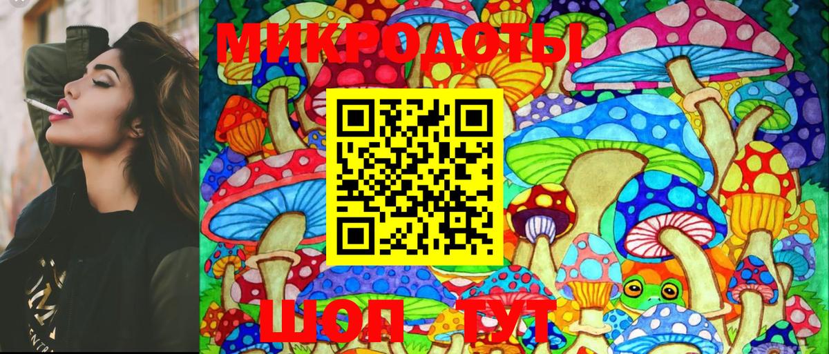 Псилоцибиновые грибы Psilocybe Коркино